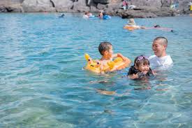 八丈島観光協会