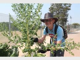 Delta Park school plants vegetable beds and fruit trees for children