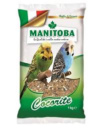 All4pets Mixture Of Budgies Cocorite Birds Food 1kg Bird Food Budgies Online Pet Store