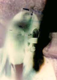 Bildergebnis für Shahin Afrassiabi