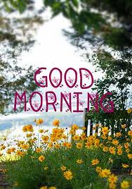 Good Morning Good Morning Rainy Day Good Morning Picture Morning Pictures