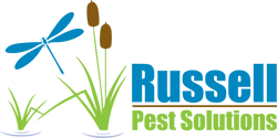 Jacksonville, fl, homeowners with pets should be on the alert about certain parasites that thrive in the area, such as pest control can take many forms, and for us, it's always about helping to protect your home and business. About Russell Pest Solutions Pest Control Jacksonville