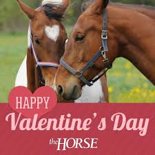 Our large selection of valentine's day supplies will put you in the mood for love on february 14 and every other day of the year. Pin On Quotes
