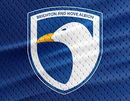 Brighton, football, fc, soccer, sport, albion, brighton fc, footballers, logo, blue, brighton hove albion fc, hove, premier league, sportman, sports, australia. Bhafc Projects Photos Videos Logos Illustrations And Branding On Behance
