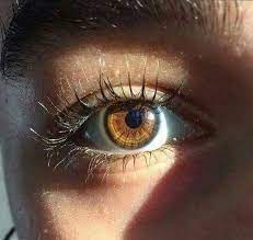 pin by anja jekic on personal sys emrys james eye photography brown eyes aesthetic aesthetic eyes