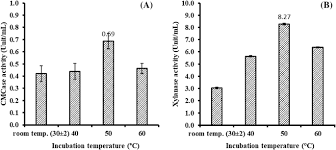Dark fermentation — is the fermentative conversion of organic. Improved Methane Production Using Lignocellulolytic Enzymes From Trichoderma Koningiopsis Tm3 Through Co Digestion Of Palm Oil Mill Effluent And Oil Palm Trunk Residues Springerlink