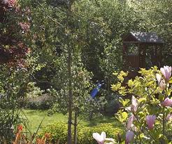Everything you need to know is in this gardening ebook, preparing your soil, planting your seeds and growing your. Family Gardens Euphorbia Design