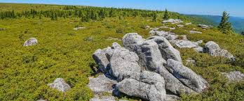 We're aware that these uncertain times are limiting many aspects of. 3 Best Backpacking Trips In West Virginia Almost Heaven West Virginia Almost Heaven West Virginia