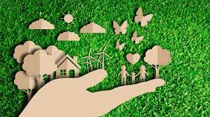As florestas são os ambientes mais ricos da terra em biodiversidade. Meio Ambiente E Sustentabilidade Palestrante Leonardo Pio
