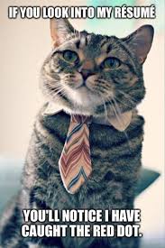Feel prouder and more inspired to do your job with this awesome and totally cool good job meme collection. College Cat Is Looking For A Job Funny Animal Memes Silly Animals Funny Cat Memes