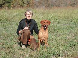 SureFire Golden Retrievers