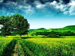 Nature Wallpapers Hd Landscape Pictures Landscape Wallpaper Beautiful Landscape Wallpaper
