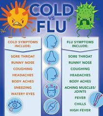 Cold Vs Flu Coolguides