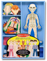 Fun Gifts For Your Kids That Will Secretly Teach Them Something Human Body Activities Human Body Human Body Anatomy