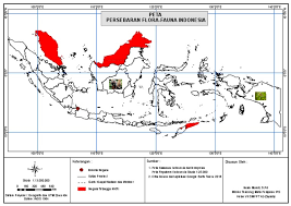 Garis yang memisahkan fauna wilayah indonesia bagian barat dan wilayah indonesia bagian tengah dinamakan dengan garis wallace. Peta Persebaran Flora Fauna