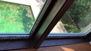 Houston exterminator, pest control & termite treatment. Free Termite Inspections The Bug Master Pest Control And Disinfecting