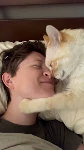 I need these nose kisses now 🥺😻