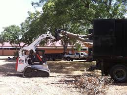 Chavez tree service founded in year 2013 with 20 years of experience. Tree Trimming Removal Clean Up Pattison Katy Mission Bend Fulshear Tx Byron Bruess Tree Services