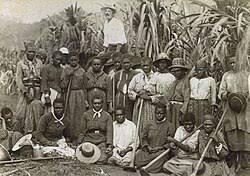 Indentured servitude - Wikipedia