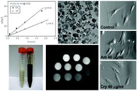Term contracts & credit cards/paypal accepted. Novel Fast Processed Crystalline And Amorphous Manganese Oxide Nanoparticles For Stem Cell Labeling Inorganic Chemistry Frontiers Rsc Publishing