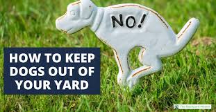 After so many reports and an investigation, they issue the owner a fine. How To Keep Dogs Out Of Your Yard The Backyard Master