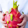 Near the stem, the peel is rough, but it becomes softer on the in terms of soil, a rich, deep and fresh, slightly humid substrate is preferable but since it is an adaptable plant, it also grows on clayey and calcareous soils. 1