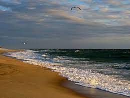 Nauset Beach Morning Cape Cod By Dianne Cowen Photography Beach Ocean Surf Shores Beach