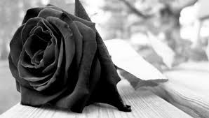 Nota de falecimento: servidor aposentado José Onofre da Silva