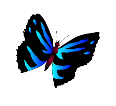 We have collect images about aesthetic boy pfp gif including images, pictures, photos, wallpapers, and more. Butterfly Wallpaper Carti