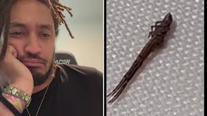 I HATE THAT THIS SPIDER EXISTS😳🕷 #PatGeo