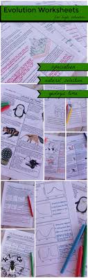 A Unique Set Of Homework Pages For Evolution That Cover Speciation Darwin And Lamarck Adaptations Types Of Natu Biology For Kids Natural Selection Evolution