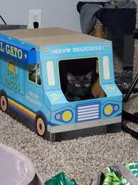 Swirl oil to coat skillet evenly. Fish Taco Truck Scratching Pad Cats Taco Truck Toy Car