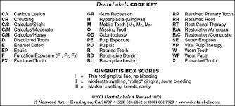 Dental chart with modified triadan system. Dentalabels Charting System Smartpractice Veterinary