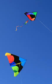 Img 9024 Delta Kite Kite Store Kite Flying