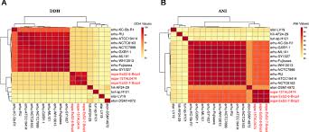 Image result for bioinformatics heatmap