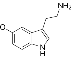 Image of Serotonin molecule
