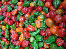 Aji Dulce Stuffed Peppers Antipasto Sofrito