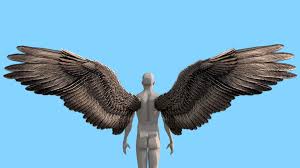 I'll be going into more detail on how to. Dark Angel Wings Human Base Mesh Buy Royalty Free 3d Model By Leonardo Carvalho Livrosparacriancas Ab652b9