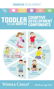 Toddler Cognitive Chart Parenting Skills Toddler Books Toddler Development