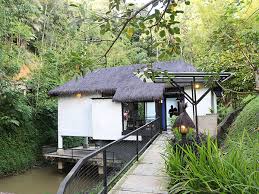 Danau Daun Chalet Janda Baik Pahang Findbulous Travel