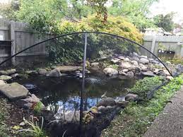 Pond Service Enhancements Contractor Ny Acorn Ponds Waterfalls Pond Water Features Pond Plants Backyard Water Feature