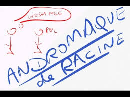 andromaque, de racine (rsum rapide et