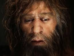 Last year, researchers proposed that a. Modern Humans Mated With Denisovans More Than Once Find Scientists Education Today News