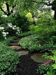 Planter Tip A Halo Made Of Deciduous Plants That Lifts A Middle Container Gardening Shade Garden Design Backyard Landscaping Shade Garden