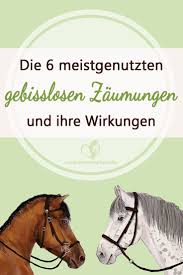 Die Wirkung Der 6 Meistgenutzen Gebisslosen Zaumungen Erklart Sidepull Bosal Hackamore Glucksrad Bitless Bridle Sta Pferd Und Reiter Reiten Lernen Pferde