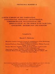 Image result for Stilbaceae