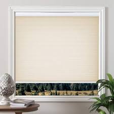 20% coupon applied at checkout. Grandekor Cordless Shades Cellular Blinds Light Filtering Honeycomb Blinds And Shades For Window 34 Inch X 36 Inch Pale Beige