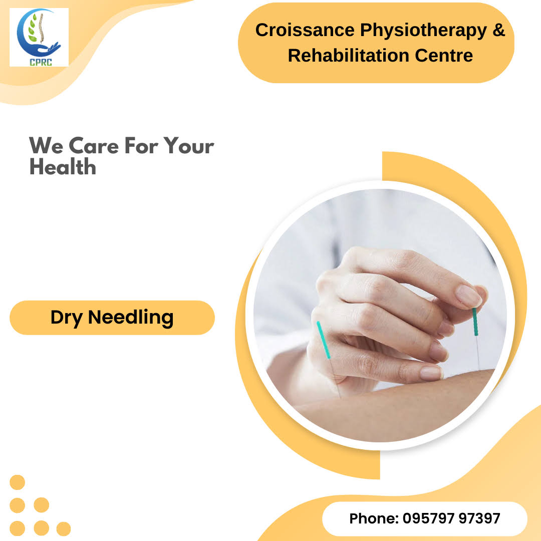Dry Needling product image