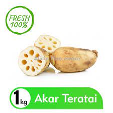 Teratai diyakini berasal dari sungai nil di mesir, kemudian menyebar ke berbagai belahan dunia, termasuk ke indonesia. Akar Teratai Lotus Root 1kg Pack Shopee Indonesia