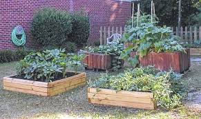 Harvest time in town